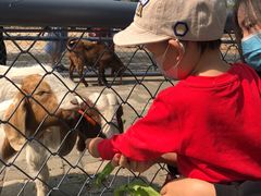 -长白岛森林公园