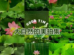 -北海公园