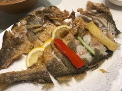 -骏莱海鲜鱼港(五角场店)