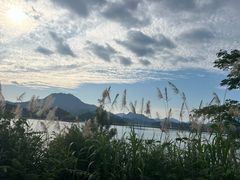 -宝荣鱼馆·临湖之宴(千岛湖店)