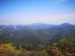 -金龙寺国家森林公园