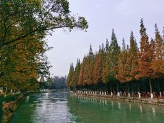 -蜀绣公园
