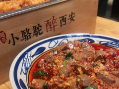 -福苗小骆驼烧烤(太奥广场店)
