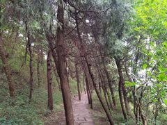 -金堂县云顶石城风景区