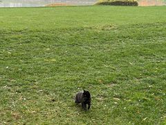 -龙熙温泉高尔夫俱乐部