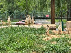 -秦皇岛野生动物园