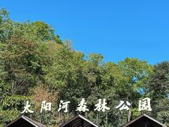 -普洱太阳河森林公园