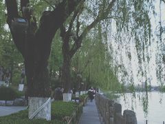 -济南大明湖景区