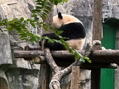 -武汉动物园