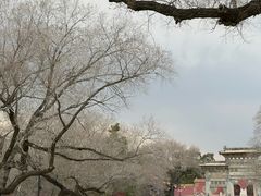 -北陵公园