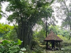-成都杜甫草堂博物馆