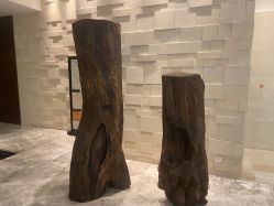 -丽妍雅集 Rubis SPA