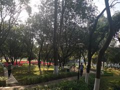 -天河儿童公园