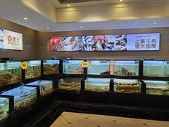 -德天肥牛海鲜火锅(城西银泰店)