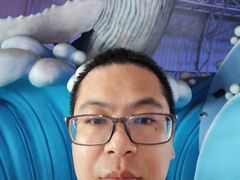 -烟台海昌鲸鲨海洋公园