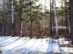 -长白山万达喜来登度假酒店