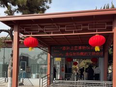 -洛阳古墓博物馆