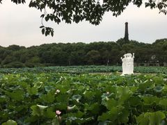 -谷咖啡·鲜花绿植花园餐厅