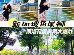 -鱼尾狮公园