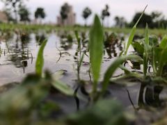 -郑贵初烧烤·烤凤爪的发明者(王家湾店)