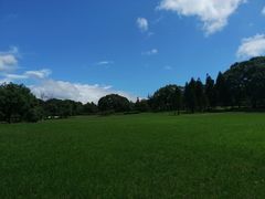 -福建鲤鱼洲酒店