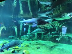 -华夏文旅海洋公园