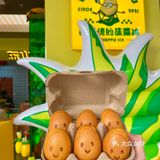 拿着只巨无霸菠萝🍍走在风湿地❗️