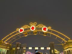 -武汉知音号