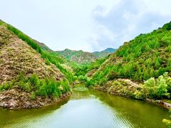 -云岫谷游猎自然风景区
