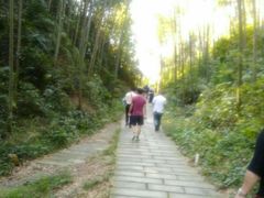 -九龙江国家森林公园