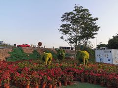 -光明小镇欢乐田园