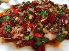 -老号尤兔头(幸福店)