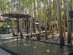 -桉树林A coffee 森林餐厅(三圣乡店)