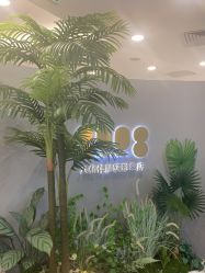 点击看大图 -八佰伴8008星级形象店