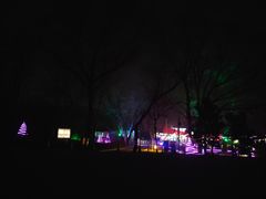 -枫花园汽车电影院(朝阳公园店)