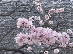 -北京明城墙遗址公园