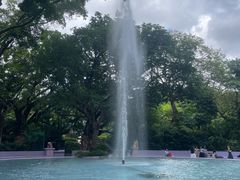 -九龙公园