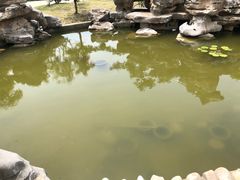 -呼吸森林·生态农庄农家乐私房菜