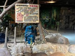 -海合安武汉极地海洋公园