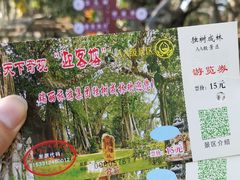 -瑞丽独树成林风景区