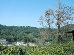 -西湖风景区十里琅珰-五云山