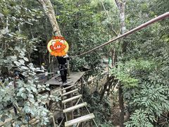 -海南槟榔谷黎苗文化旅游区