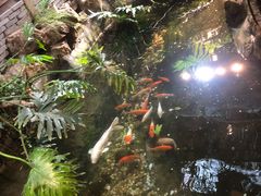 -聚缘堂·海鲜私房菜(松岭路店)