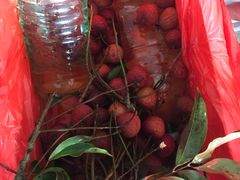 -菜园坝水果市场