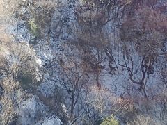 -商洛老君山旅游风景区