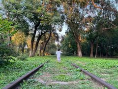 -永定河休闲森林公园