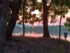 -石湖景区