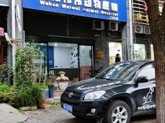 -伟伟宠物医院·CT影像中心·瑞派犬猫综合性门诊(汉口总院)