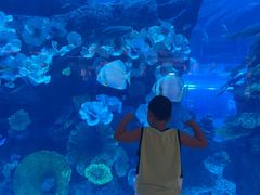 -迪拜水族馆及水下动物园