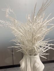 -智美品质医美